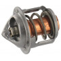 Thermostat ETESIA ET34392