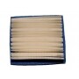 Filtro Air TECUMSEH 36046