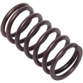 Ressort de soupape BRIGGS ET STRATTON 692084