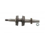 Vilebrequin BRIGGS ET STRATTON 797076