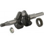Vilebrequin BRIGGS ET STRATTON 797072