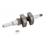 Vilebrequin BRIGGS ET STRATTON 797070