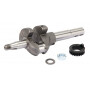 Vilebrequin BRIGGS ET STRATTON 793616