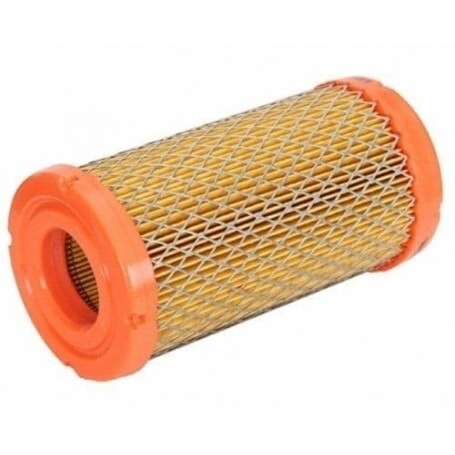 Filtro Air 793569 BRIGGS et STRATTON Series 33