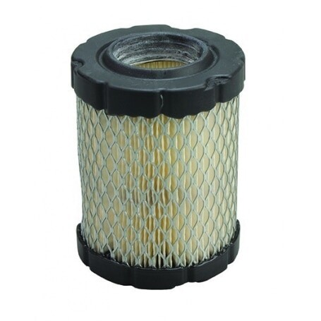 Filtro Air BRIGGS et STRATTON 796032