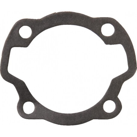 Joint d'embase de cylindre AGRIA AGW10251