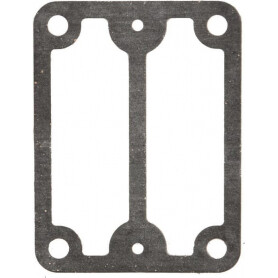 Joint de pompe BRIGGS ET STRATTON 693490