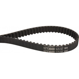 Courroie MTD GW1773600 - GW-1773600