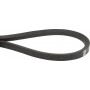 Courroie GUTBROD 00075325 - 000.75.325