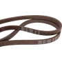 Courroie MTD 7530528 - 753-0528