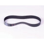 Courroie UNIVERSEL 10219001N