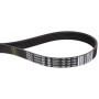 Courroie trapézoïdale MASSEY FERGUSON 4286263M1
