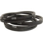 Courroie KVERNELAND - TAARUP KT99202424