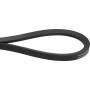 Courroie OPTIBELT VF06228207N