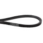 Courroie trapézoïdale VICON VGND96008