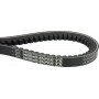 Courroie trapézoïdale VICON VN43303435