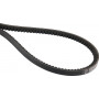Courroie trapézoïdale VICON VN43303436