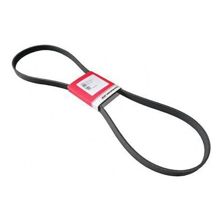 Courroie VAPORMATIC VPE6317