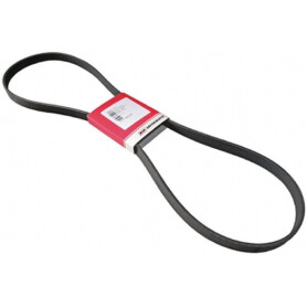 Courroie VAPORMATIC VPE6334