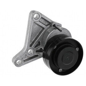Tendeur de courroie VAPORMATIC VPE6433