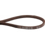 Courroie UNIVERSEL HPS14447