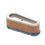 Filtro Air BRIGGS et STRATTON 691667 - 493910