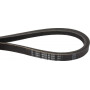 Courroie trapézoïdale UNIVERSEL FGP013350