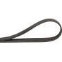 Courroie trapézoïdale OPTIBELT R123437AB