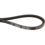 Courroie trapézoïdale OPTIBELT AVX131015PD