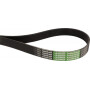 Courroie trapézoïdale OPTIBELT 4273187M1AB