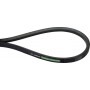 Courroie trapézoïdale OPTIBELT 418209M1AB