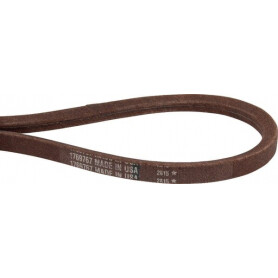Courroie trapézoïdale MTD GW1769767