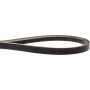 Courroie trapézoïdale BRIGGS ET STRATTON 7013937YP