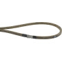 Courroie trapézoïdale BRIGGS ET STRATTON 1703466SM