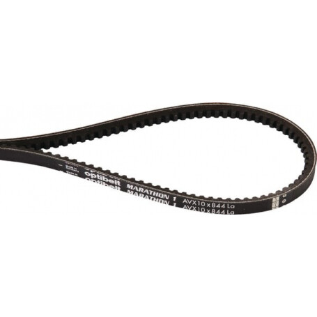 Courroie trapézoïdale AGRIA AGW79648