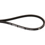 Courroie trapézoïdale AGRIA AGW79648