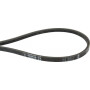 Courroie trapézoïdale AGRIA AGW76544