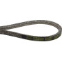 Courroie trapézoïdale AGRIA AGW479000