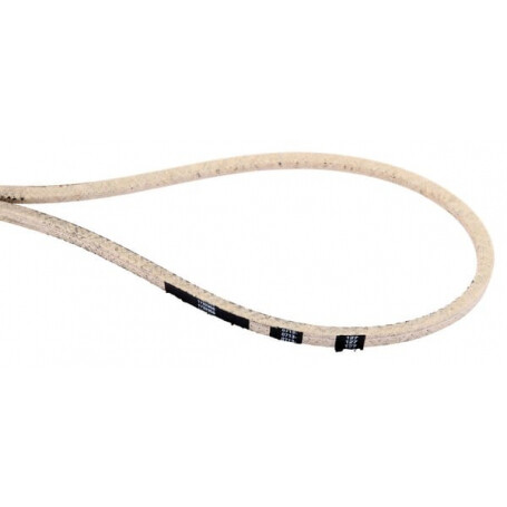 Courroie SNAPPER 1732956SM
