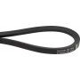 Courroie OPTIBELT VGND9036N