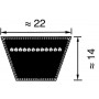 Courroie OPTIBELT VB222616
