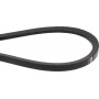 Courroie OPTIBELT SPB1650