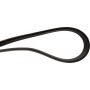 Courroie OPTIBELT R157687AB
