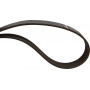 Courroie OPTIBELT R135606AB