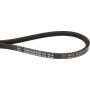 Courroie OPTIBELT AX13980PD