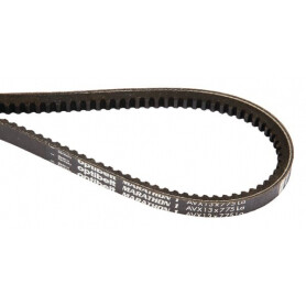 Courroie OPTIBELT AVX13850