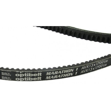 Courroie OPTIBELT AVX131700