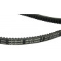 Courroie OPTIBELT AVX131700
