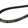 Courroie OPTIBELT AVX131225