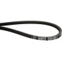 Courroie OPTIBELT AVX131145